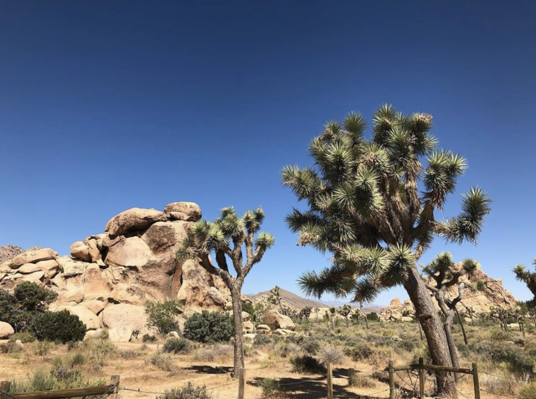 莫哈维沙漠电影好看吗 _晶羽科技