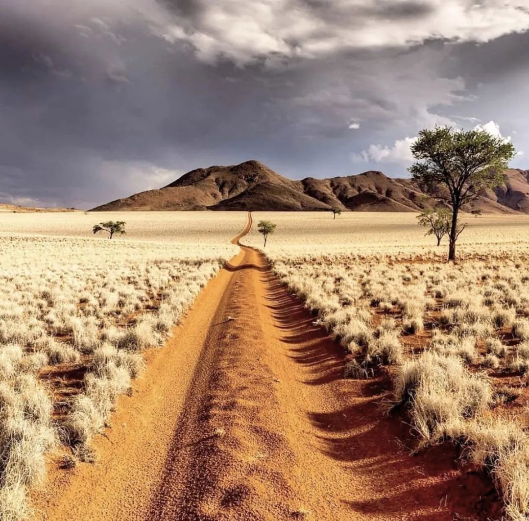 莫哈维沙漠电影好看吗 _晶羽科技