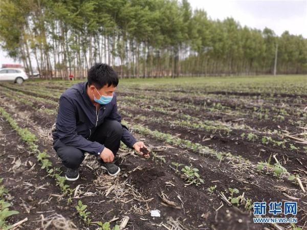 讓每一寸耕地都成為豐收的沃土——我國加強耕地保護推進“藏糧于地”