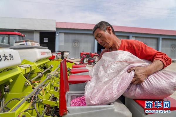 讓每一寸耕地都成為豐收的沃土——我國加強耕地保護推進“藏糧于地”