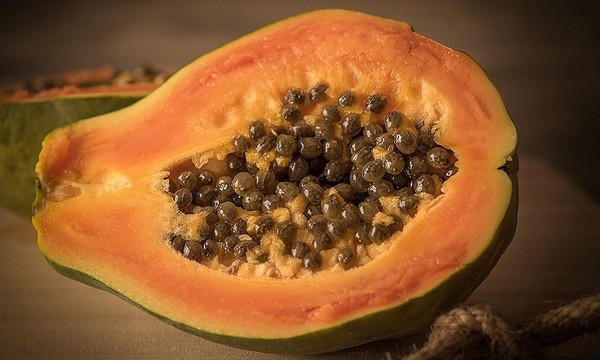 木瓜肉到籽都是宝！食用3点要注意