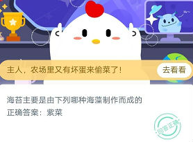 海苔主要是由哪种海藻制作而成的？紫菜还是海带
