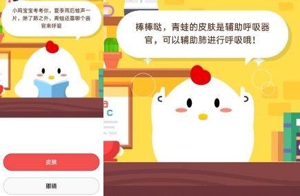 青蛙靠什么呼吸,冬眠時青蛙靠什么呼吸