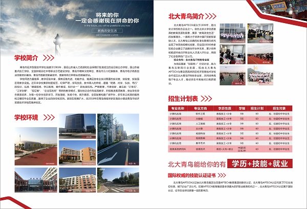青岛市经济贸易技术学校(北大青鸟特色班)面向临沂招收应、往届初中毕业生