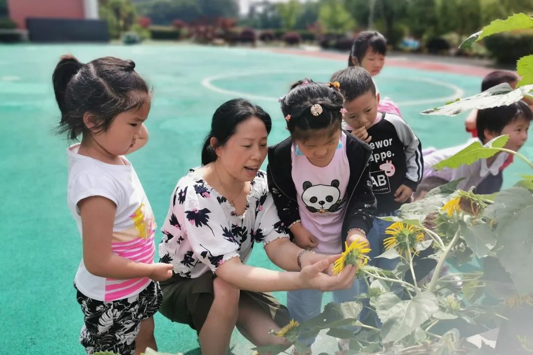 @如城的伢儿，快来给你们的老师点赞啦！