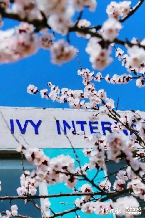 想上韩国名校，来威海常春藤读韩国精英大学直升班