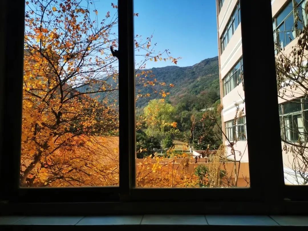 全国第15名！无锡这所森林中的高校，厉害了！