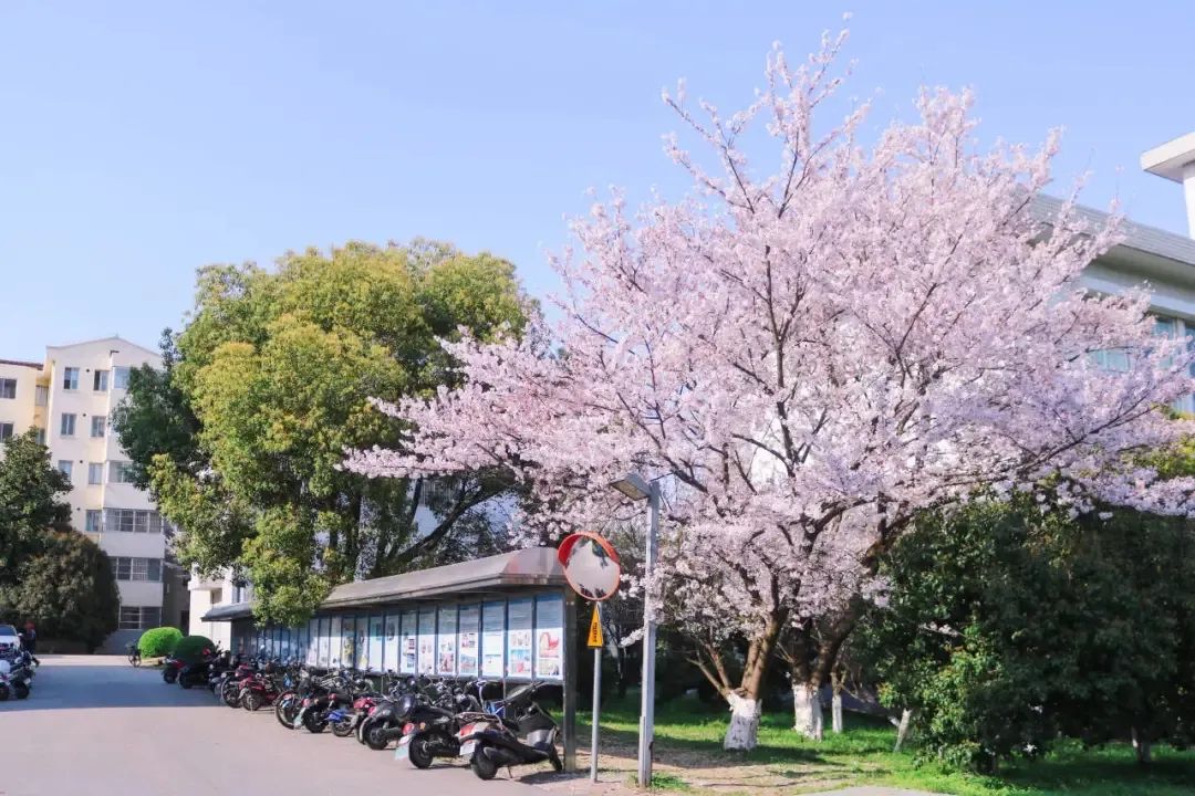 全国第15名！无锡这所森林中的高校，厉害了！