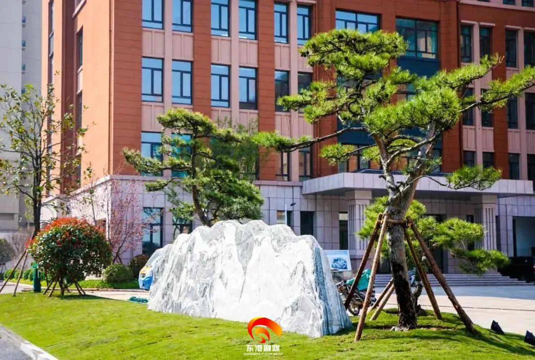 来了，曲阜师范大学日照第一附属小学！看完不要太羡慕！