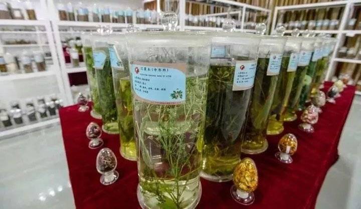 选择泰安力明科技职业中专十大理由