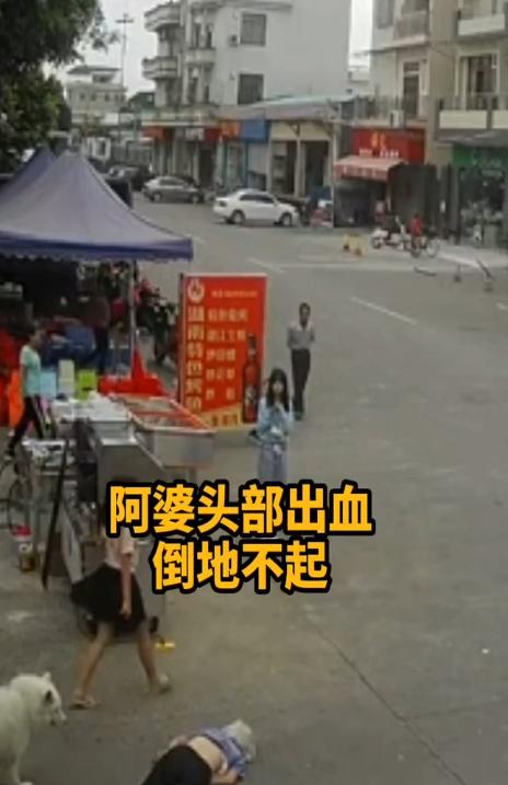 老人被狗绳绊倒身亡,狗绳绊倒老人摔死后续