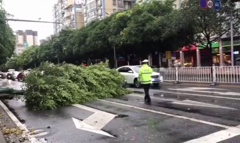 注意！受台风影响，佛山多班次列车停运、渡口停渡，高明区停课