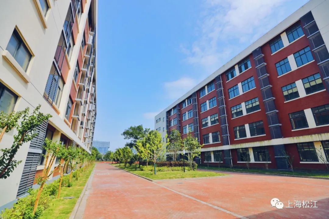 9月开学！牵手高校！松江又一所九年一贯制学校建成启用！