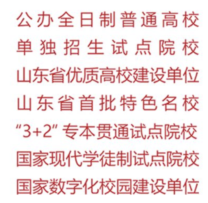 2020年山东专科批次志愿填报 山东工业职业学院代码D318