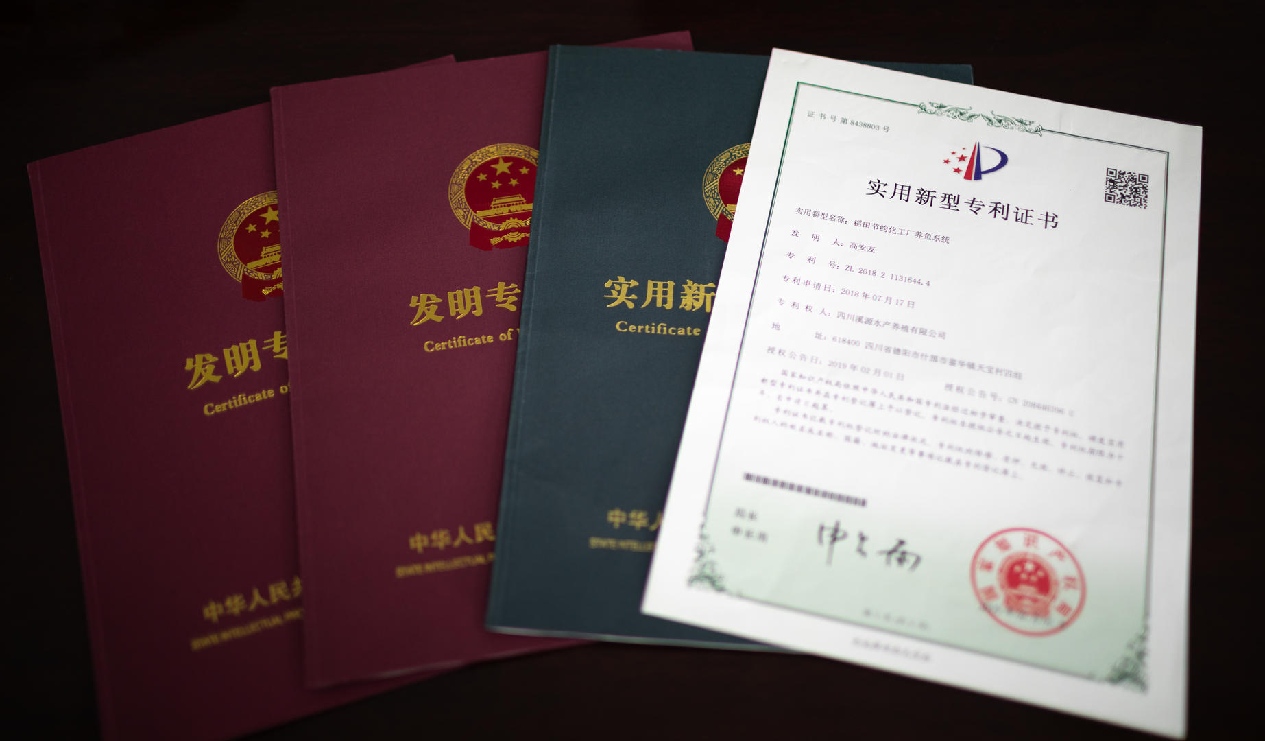 “国字号”论坛在川举办!从单干到抱团,四川稻渔综合种养有啥新花样?
