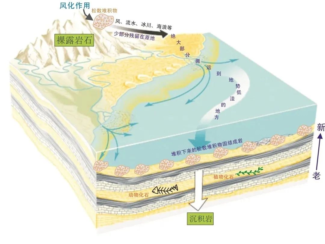 岩石变化过程图图片