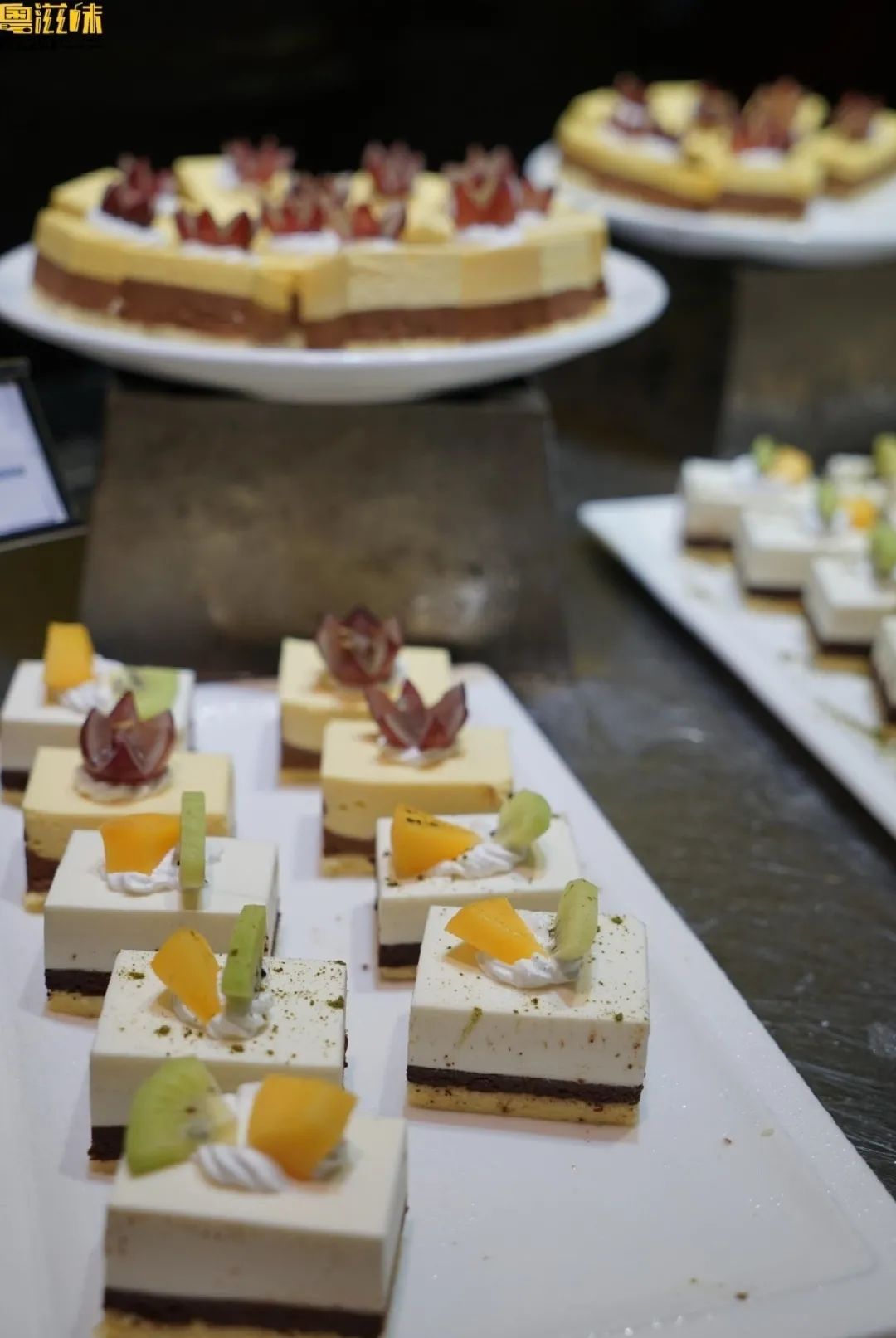 “一价全包”Club Med桂林游，带娃出行也方便