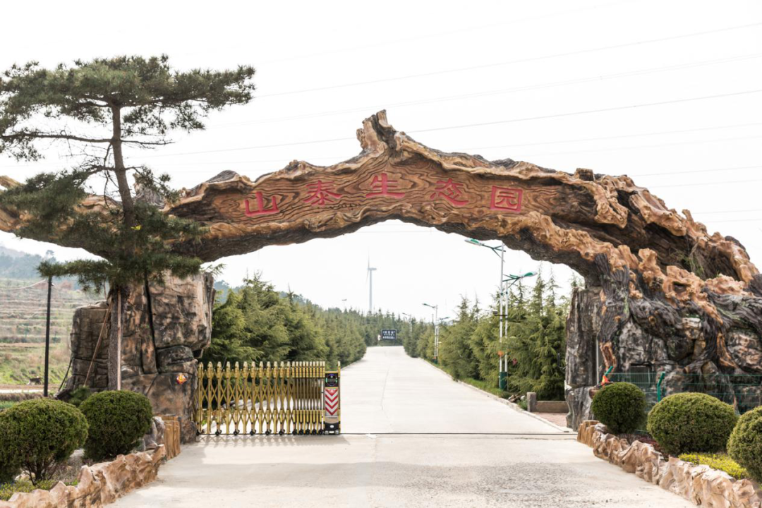 赶海世界杯门票(快快收藏！国庆游威海，你的“十一”文旅优惠大礼包已上线！)