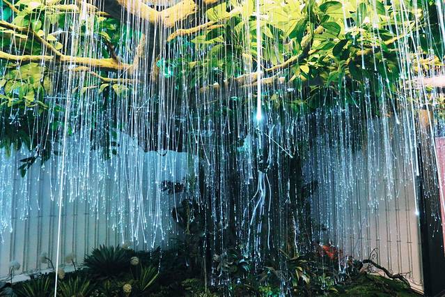 重庆旅游攻略4日游路线安排(重庆周末旅游攻略2日游)