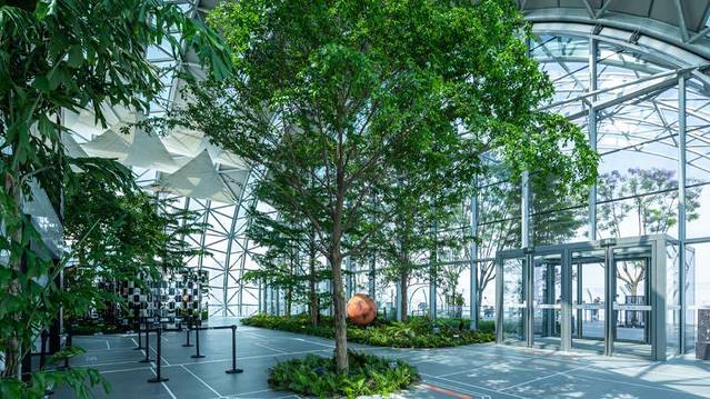 重庆旅游攻略4日游路线安排(重庆周末旅游攻略2日游)