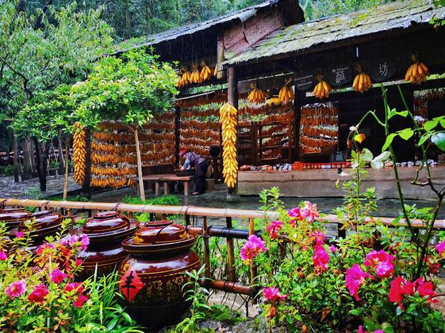 重庆旅游攻略4日游路线安排(重庆周末旅游攻略2日游)