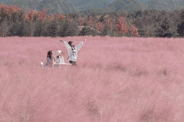 重庆旅游攻略4日游路线安排(重庆周末旅游攻略2日游)