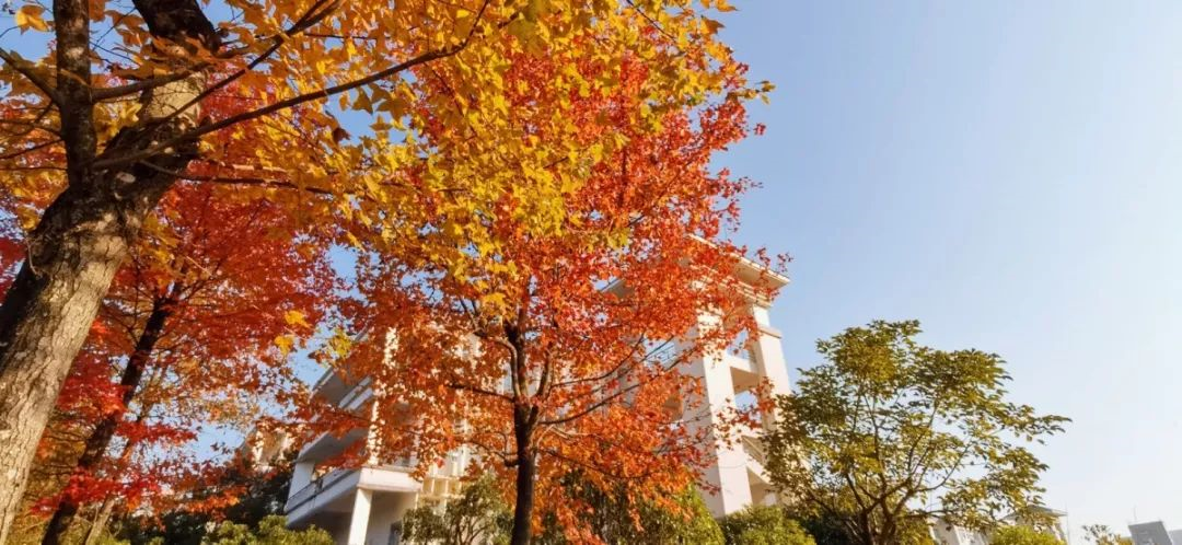 广西师范大学，有点牛