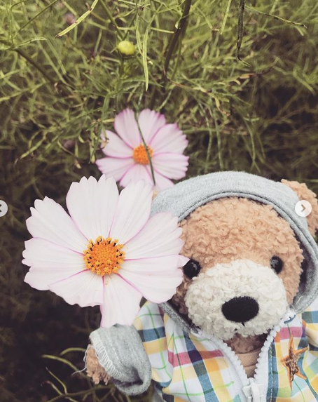 青山学院大学校花榜单最新出炉！日常爱用大公开，糟糕！这是想剁手的感觉