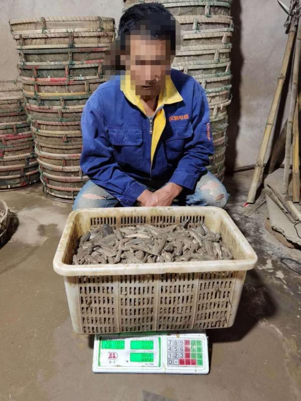 揭秘长江水产地下产业链：浙江鱼贩雇人到上海崇明抓跳跳鱼，每斤毛利最高5倍