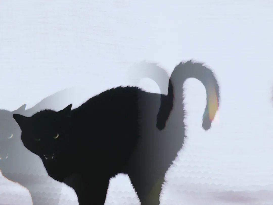 调教教室丨万圣节特辑：为什么猫女郎永远是辣妹们的第一选择？