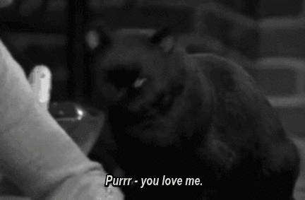 调教教室丨万圣节特辑：为什么猫女郎永远是辣妹们的第一选择？