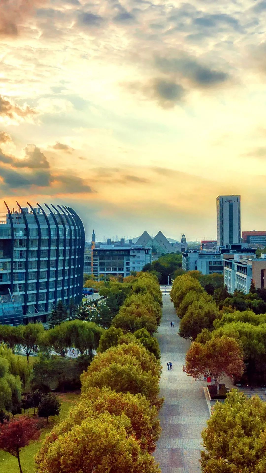 复旦大学壁纸「复旦大学壁纸 锁屏」