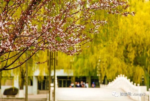 举一省之力，重点打造的这所大学，你毕业的时候，就是双一流