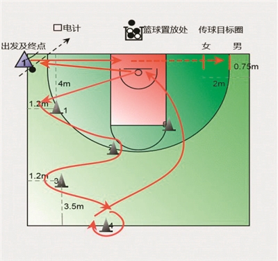 篮球比赛持球多少秒合适(中考体育选篮球，如何学习才有效？)