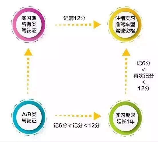 驾驶证分知多少？快看看你的驾驶证