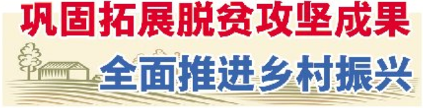脱贫攻坚民生样本丨徐菲菲圆了“大学梦”