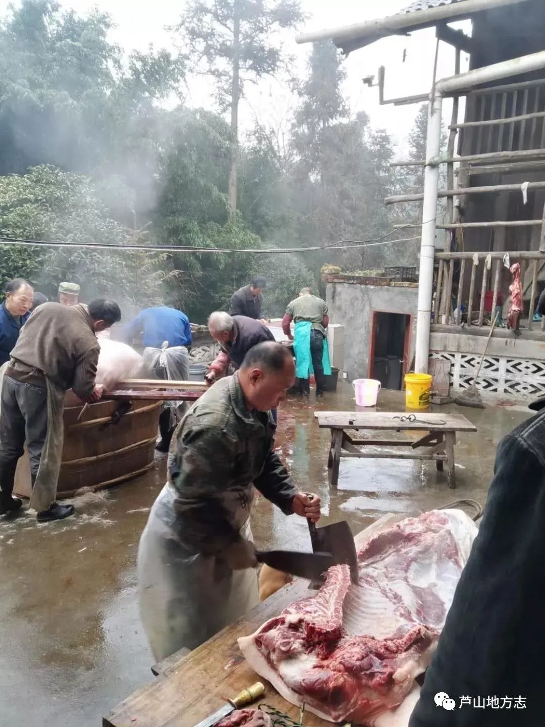 晨风宰杀女人 新图片(芦山地方志) - 赤虎壹号