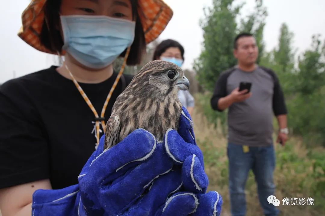 古都开封的鸡毛蒜皮——赵文建 | 影像纪年2020（18）
