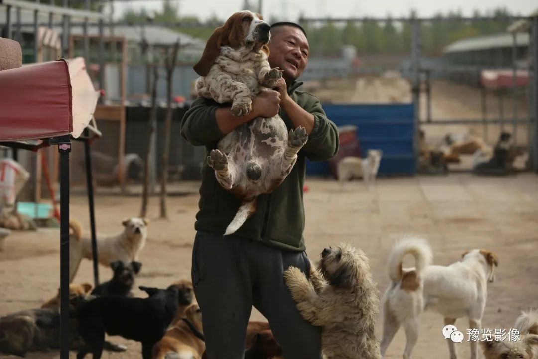 古都开封的鸡毛蒜皮——赵文建 | 影像纪年2020（18）