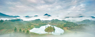 梦见很多山路什么征兆