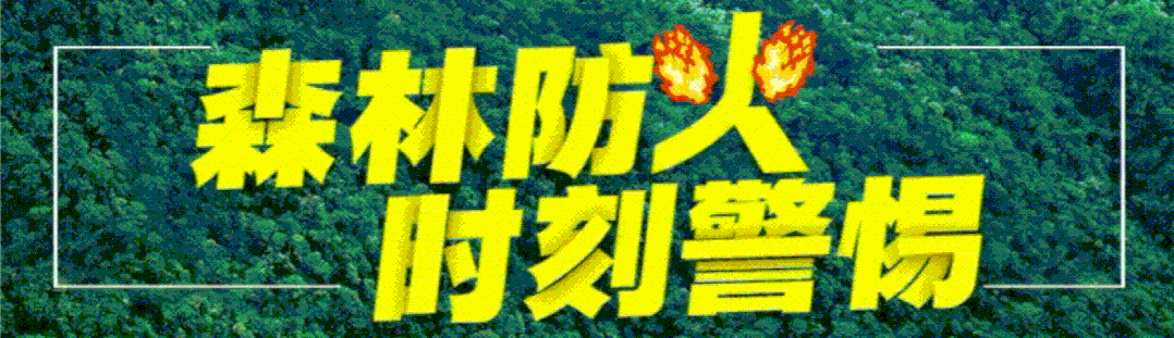 高考来了！33220名泸州学子直面人生大考