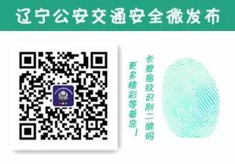 阜新市交通违章,阜新市交通违章查询主页