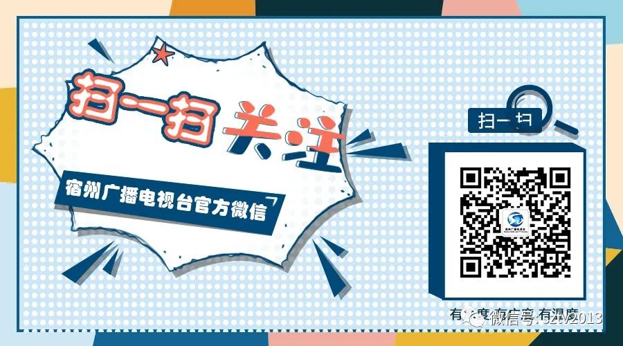 官宣！全力推动宿州这些学校创建大学、本科职业院校