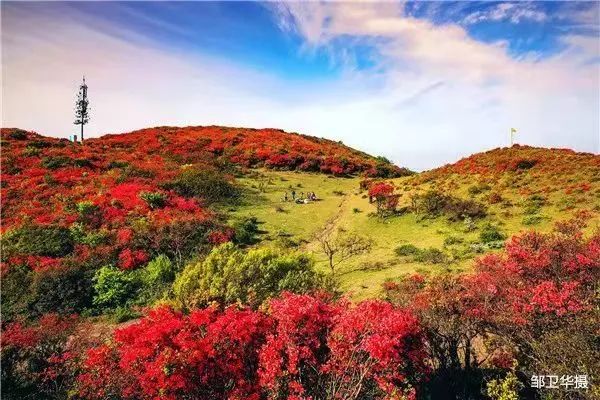 最新最全3·8女神节福利来袭！免门票、半价等超多惊喜送给您~