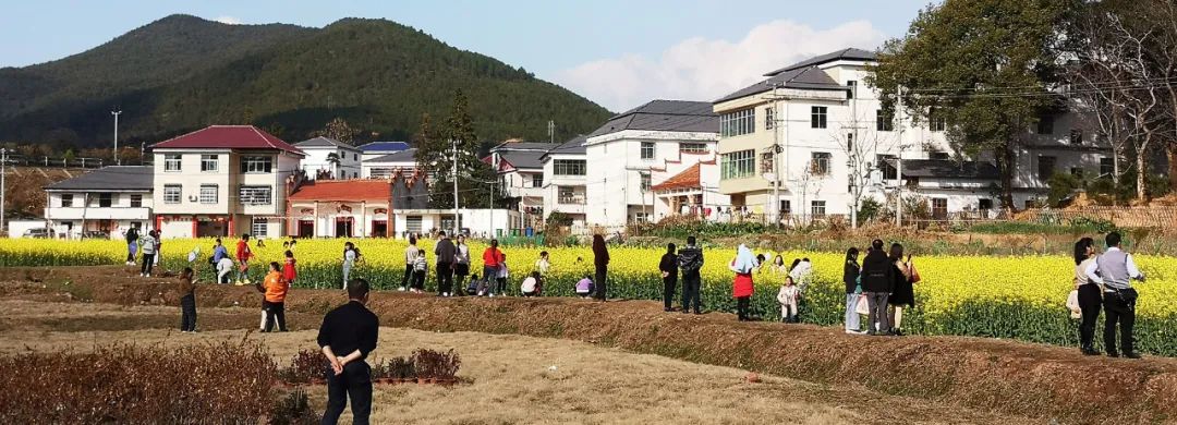 最新最全3·8女神节福利来袭！免门票、半价等超多惊喜送给您~