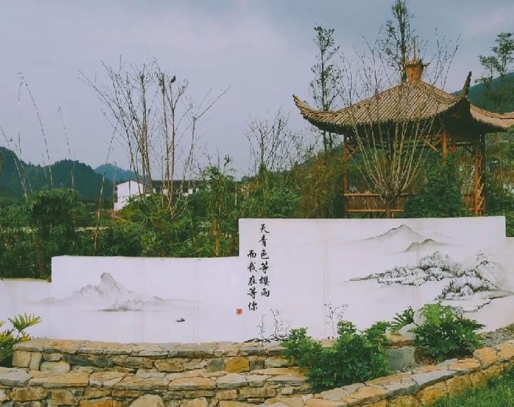 万亩野樱花迎春绽放 云上观景美不胜收