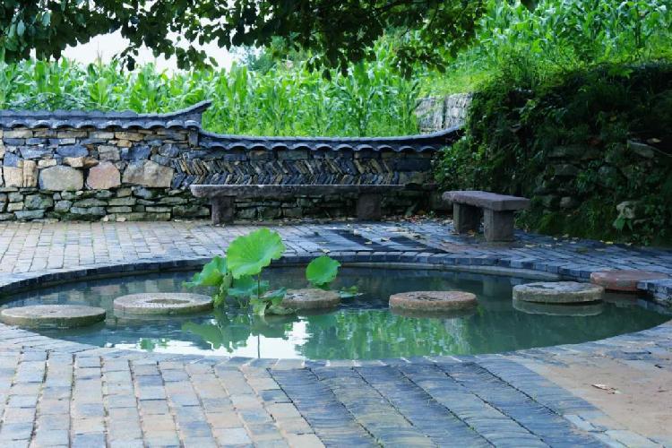 万亩野樱花迎春绽放 云上观景美不胜收