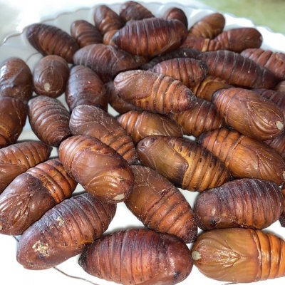 蚕蛹怎么做好吃 怎么炸蚕蛹又香又脆 - 汽车时代网