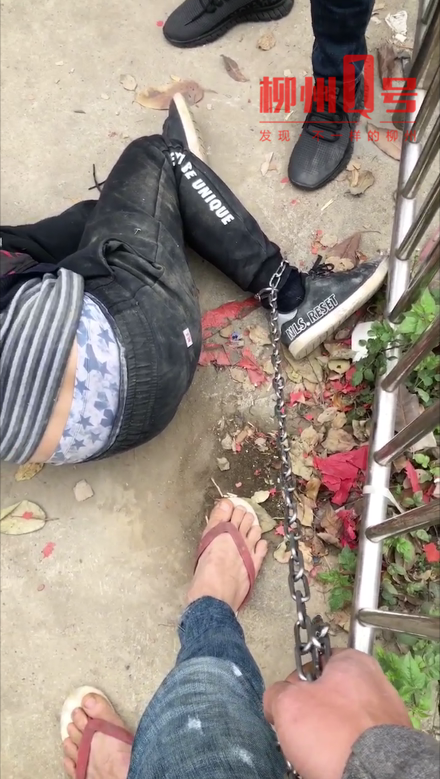 偷狗被打,偷狗被打视频