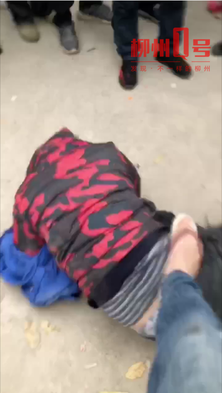 偷狗被打,偷狗被打视频